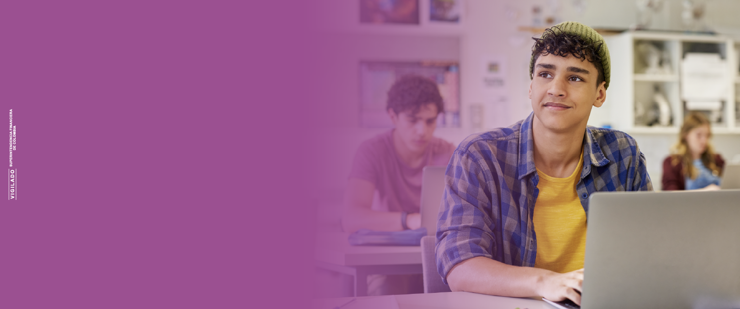 Seguro de Rentas Voluntarias